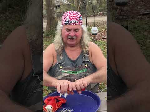 How to Eat a Lobster!