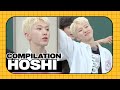 HOSHI Stock Prices Go Up Seventeen Hoshi Compilation