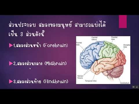 ได้รับในโรคสะเก็ดเงิน กว่าบรรเทาอาการคันกลาก