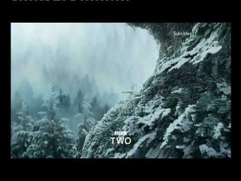 BBC2 Christmas idents 2018-2020