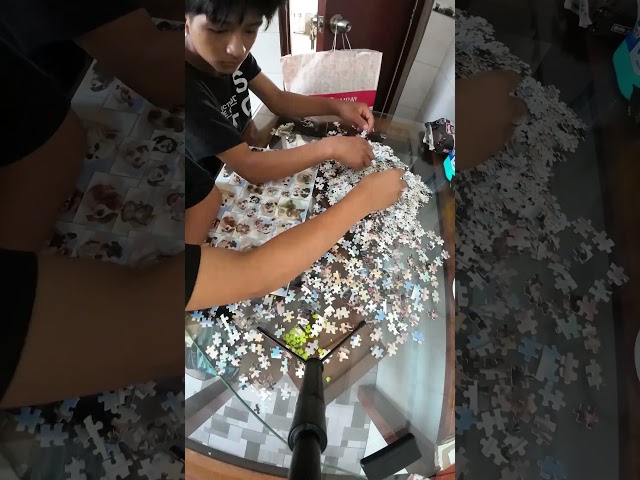 Vídeo relacionado con Ravensburger - Puzzle 1000 Piezas Looney Tunes | Puzzle Adultos 70x50cm | Puzles 1000 Adultos | Rompecabezas Niños +14 Años | Puzzles 1000 Piezas De Looney Tunes