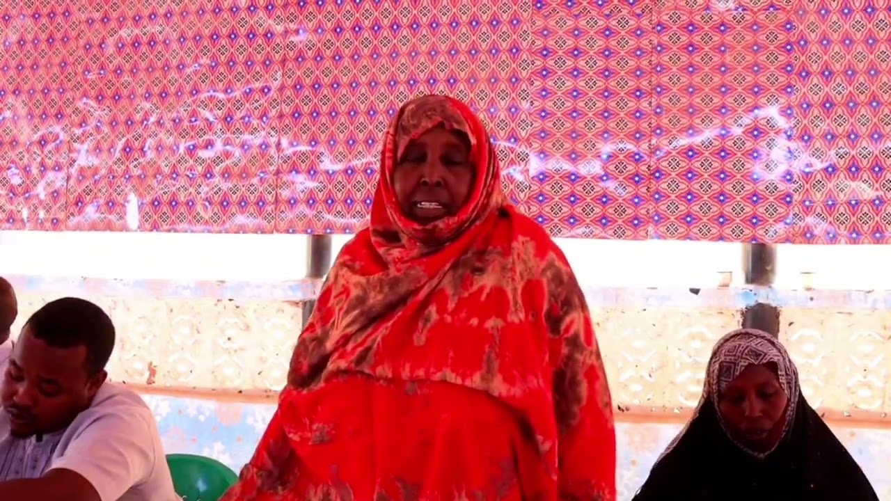 Five-Day Governance and Public Service Training Concludes in Galinsoor District