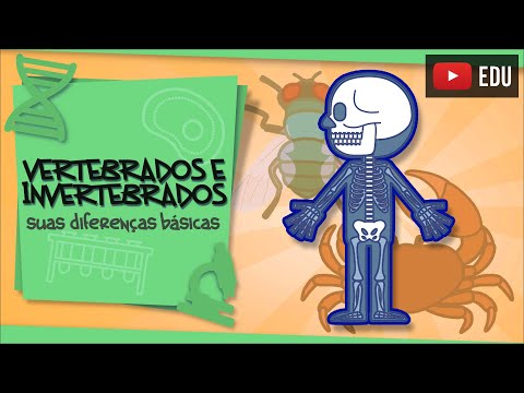 Vertebrados e Invertebrados - suas diferenças básicas