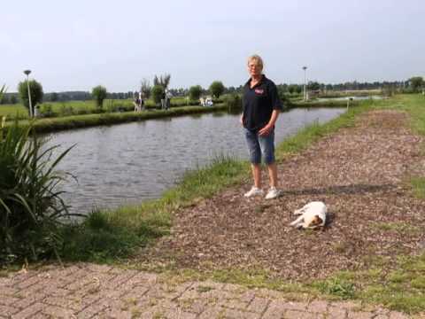 De Zederik Meerkerk: Van hobby je werk maken en de schik erin houden!