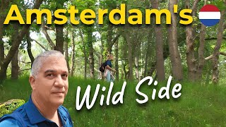 Amsterdam Secret Nature 🌳 Reserve? 🦌 Deer & Foxes 🦊 in the Dunes🌾!