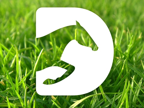 Dostihy Pardubice – živé vysílání