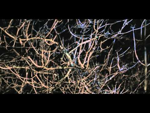 Sandy Rivera feat. Alisa Fedele - Avenue [Official Music Video]