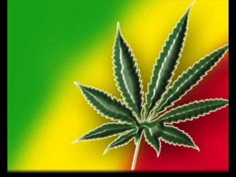 Loc-Dog - доброта