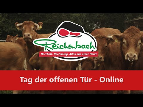 Tag der offenen Tür - Online