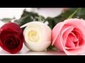 THE ROSE-Westlife with LYRICS