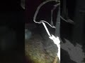 Night Exploration