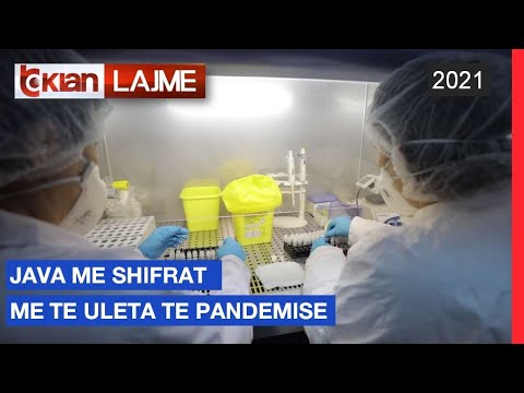 Java me shifrat me te ulta te pandemise | Lajme-News