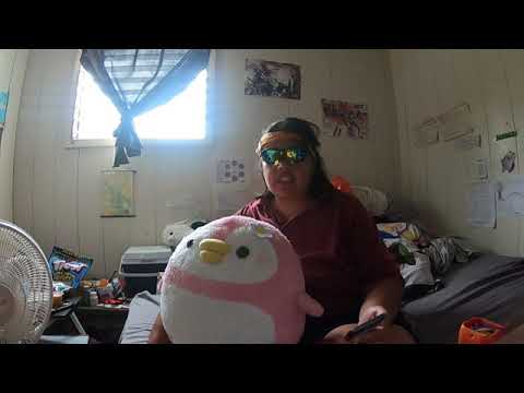 Hawaii Weight Loss!! Hot Pockets & Uncrustables! Journey from 350 to 296!