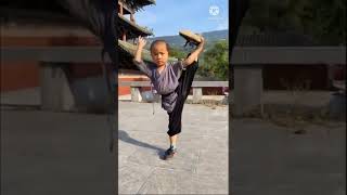 Download lagu the kungfu kids /shaolin martial arts #youtubeshorts mp3