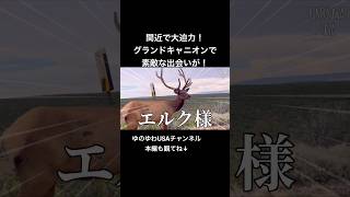 【アメリカ旅行】グランドキャニオンで素敵な出会いが！迫力満点！！
