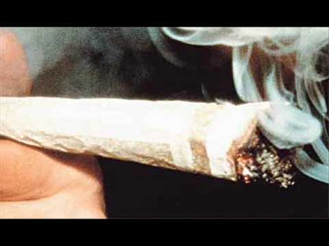 Miguel Arraigo - Ganjahman