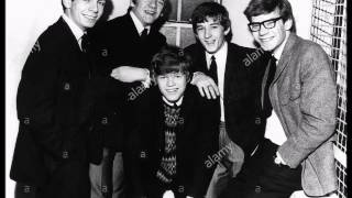 Herman&#39;s Hermits – I Wonder 1965