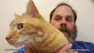 Zeus has serious health issues