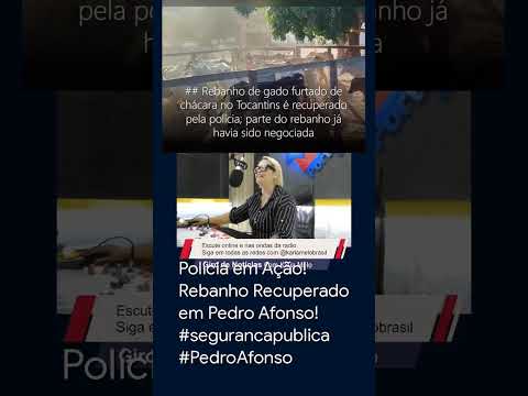 Polícia em Ação! Rebanho Recuperado em Pedro Afonso! #segurancapublica #PedroAfonso