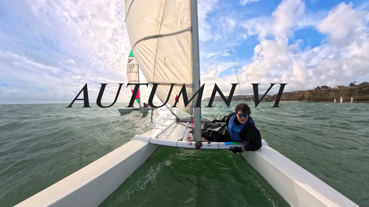 Autumn Series VI - on Jackdaw