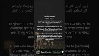 Download lagu Beautiful quran recitation short video  (Surah Al-Maidah, Ayat: 6) #shorts #quran #recitation #ayat mp3 Download lagu Beautiful quran recitation short video  (Surah Al-Maidah, Ayat: 6) #shorts #quran #recitation #ayat mp3