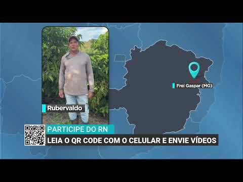Tempo favorece colheita de café em região de Minas Gerais | Será Que Chove?
