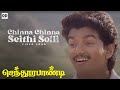 Chinna Chinna Sethi Solli Official Video Vijayakanth Vijay Deva Senthoora Pandi Ddmusic