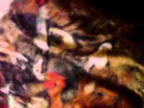 Krycha Powiedz Coś Do Mikrofonu