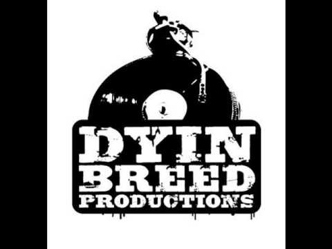 Khan, Jay Lee - K.U.I. (Klosari uvijek isti) (2005.)