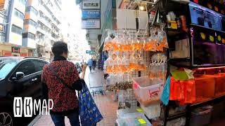 2021-Jan-27【今日香港】旺角 ❝很久未見過冷清的旺角街頭❞【Hong Kong Today】Mong Kok &quot;so long haven&#39;t seen a deserted street&quot;