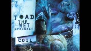 Toad The Wet Sprocket - Amnesia