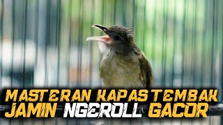 Download lagu MASTERAN KAPAS TEMBAK GACOR NGEROLL | KATEM NGEBREN | MINGGU, 26 OKTOBER 2025 mp3 Download lagu MASTERAN KAPAS TEMBAK GACOR NGEROLL | KATEM NGEBREN | MINGGU, 26 OKTOBER 2025 mp3