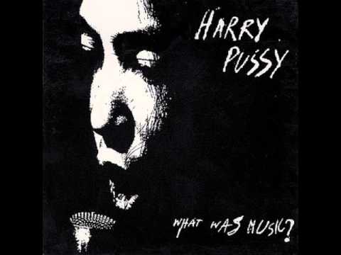 Harry Pussy - Please Don't Come Back From The Moon