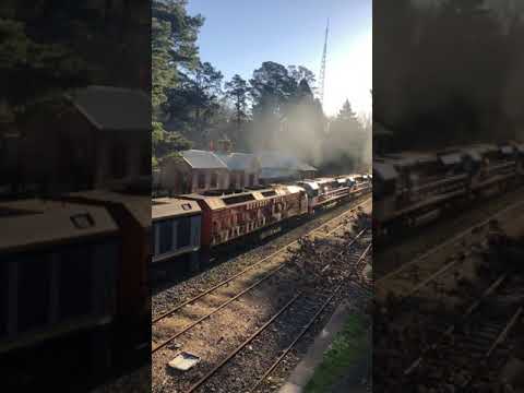 TRAINS AM22 5PM9 Smoking & sounding amazing at Mt Lofty EL62 EL60 CLF4 SCT011 SCT001 CSR006 26/9/21