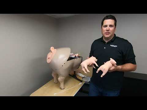 , title : 'Swine Breeder artificial insemination simulator Intro Video'