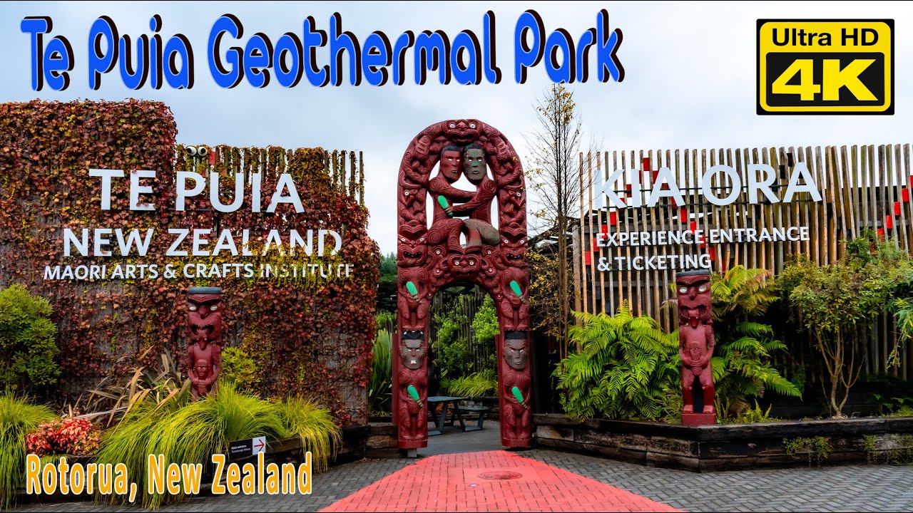 Experience a virtual tour of Te Puia.