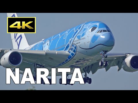 [4K] 99 Big Jets Plane Spotting at Tokyo Narita Airport 2019 / 成田空港 ANA JAL