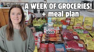 WEEKLY GROCERY HAUL + SIMPLE FAMILY MEAL PLAN! | February 2026