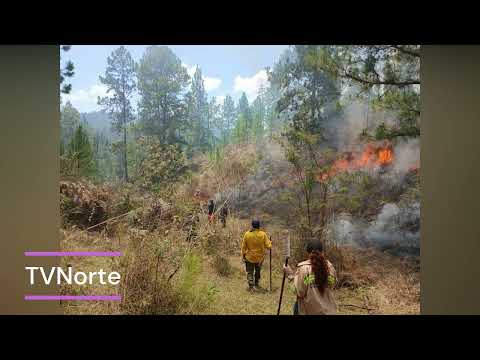 Incendios Forestales persisten en el municipio de Macuelizo, Nueva Segovia