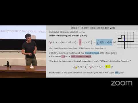 Roland Bauerschmidt: Spin systems with hyperbolic symmetry