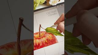 2/4 Apple 🍎 Realistic Oil Pastel Brushes for Procreate ✏️ #procreate #watercolor #digitalart