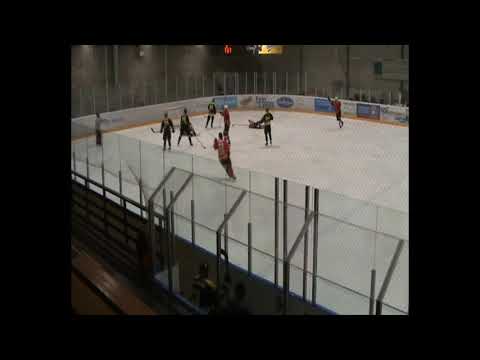 Lajy edustus - LLuja 3.11.2019