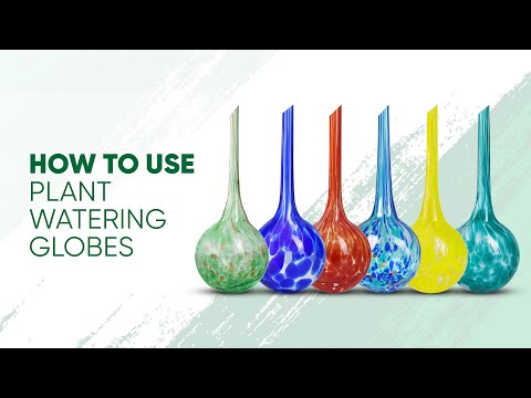 Instructions on How to Use Plant Watering Globes