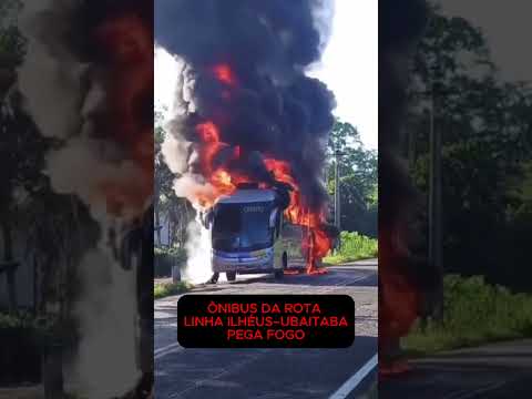 ônibus da linha Ilhéus-Ubaitaba pega fogo