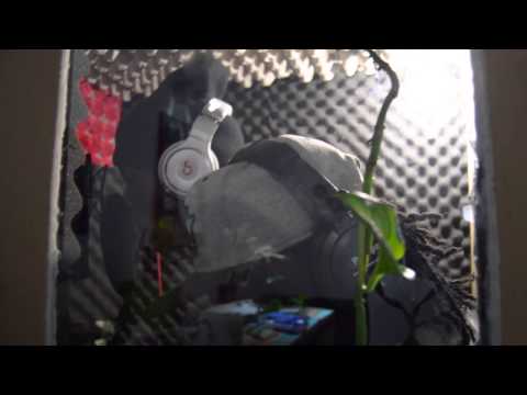 Coconote - Pa k fen pè ( G - KARTEL STUDIO ) 2014