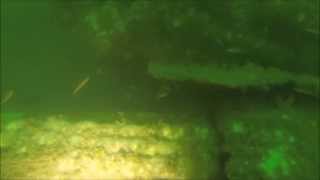 Rhode Island Diving Black Diamond Shipwreck