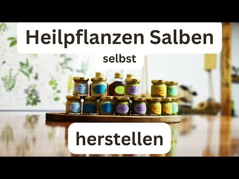 Heilpflanzen-Salben selbst herstellen - Die Spitzwegerich-Salbe