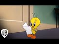 Looney Tunes Super Stars Tweety Sylvester Feline Fwenzy Admirer Warner Bros Entertainment