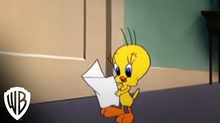 Looney Tunes Super Stars Tweety and Sylvester -- Admirer