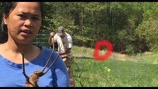 Must Watch! The Bigfoot Sasquatch Video